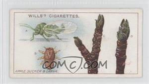 1914 Wills Garden Life - Tobacco [Base] #25 - Apple Sucker and Larvae