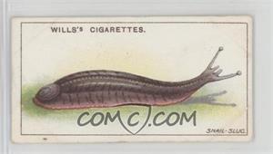 1914 Wills Garden Life - Tobacco [Base] #27 - Snail-Slug