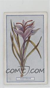 1917 Gallaher Plants of Commercial Value - Tobacco [Base] #65 - Saffron
