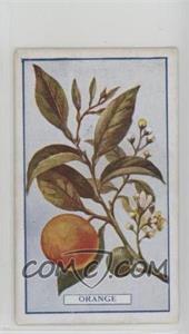 1917 Gallaher Plants of Commercial Value - Tobacco [Base] #71 - Orange