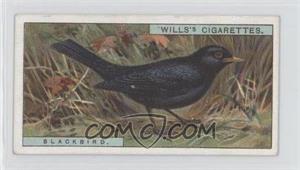 1917 Wills British Birds - Tobacco [Base] #28 - Blackbird