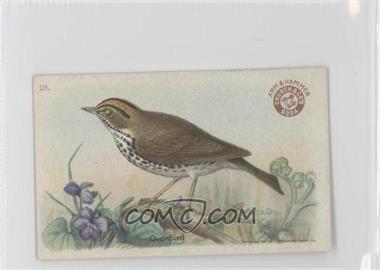 1922 Arm & Hammer Useful Birds of America Series 3 - [Base] #21 - Ovenbird