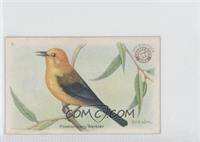 Prothonotary Warbler [Good to VG‑EX]