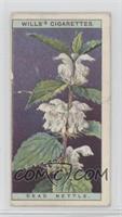 Dead Nettle [COMC RCR Poor]