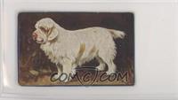 Clumber Spaniel [Altered]