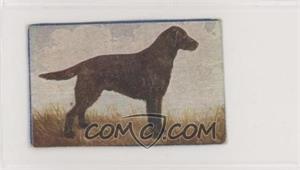 1924 Pascall Dogs - [Base] #8 - Flat-Coated Retriever [Altered]