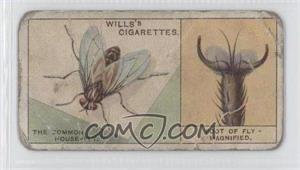 1924 Wills Do You Know Series 2 - Tobacco [Base] #18 - How the Fly Walks Upsidedown? [Poor to Fair]