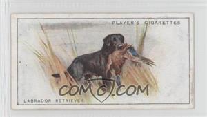 1925 Player's Dogs - Tobacco [Base] #25 - Labrador Retriever