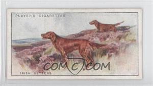 1925 Player's Dogs - Tobacco [Base] #31 - Irish Setters