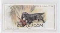Field Spaniel [Noted]