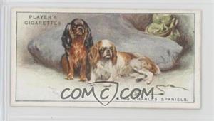 1925 Player's Dogs - Tobacco [Base] #37 - King Charles Spaniels