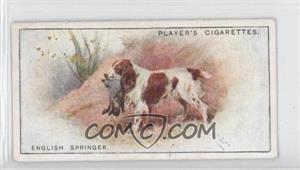 1925 Player's Dogs - Tobacco [Base] #38 - English Springer