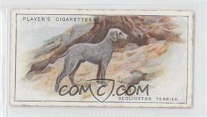 1925 Player's Dogs - Tobacco [Base] #40 - Bedlington Terrier [Good to VG‑EX]