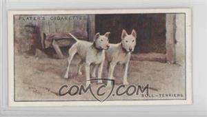 1925 Player's Dogs - Tobacco [Base] #41 - Bull-Terriers