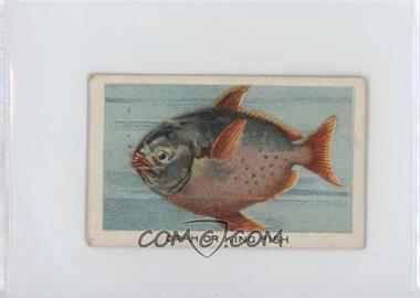 1925 Wills Birds, Beasts and Fishes. - Tobacco [Base] #27 - Opah or King Fish [Good to VG‑EX]