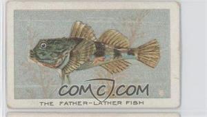 1925 Wills Birds, Beasts and Fishes. - Tobacco [Base] #33 - The Father-Lather Fish [Good to VG‑EX]