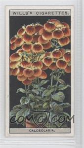 1925 Wills Flower Culture in Pots - Tobacco [Base] #11 - Calceolaria