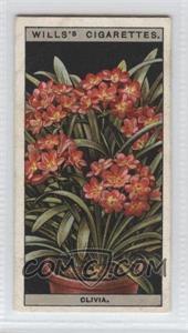 1925 Wills Flower Culture in Pots - Tobacco [Base] #18 - Clivia