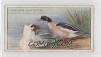 Goosander [COMC RCR Poor]