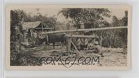 Native Sugar Mill in Malaya