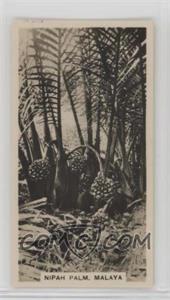 1929 Carreras Malayan Industries - Tobacco [Base] #4 - Nipah-Palm in Malaya