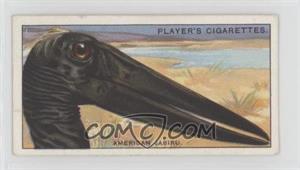 1929 Player's Curious Beaks - Tobacco [Base] #28 - American Jabiru