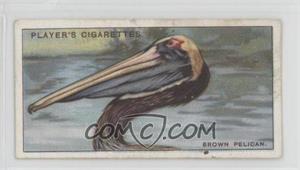 1929 Player's Curious Beaks - Tobacco [Base] #33 - Brown Pelican