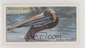 1929 Player's Curious Beaks - Tobacco [Base] #33 - Brown Pelican