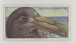 1929 Player's Curious Beaks - Tobacco [Base] #34 - Giant Petrel