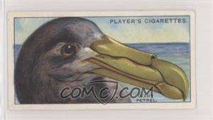 1929 Player's Curious Beaks - Tobacco [Base] #34 - Giant Petrel