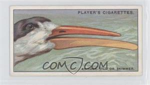 1929 Player's Curious Beaks - Tobacco [Base] #40 - Scissor-bill Or Skimmer