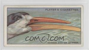 1929 Player's Curious Beaks - Tobacco [Base] #40 - Scissor-bill Or Skimmer