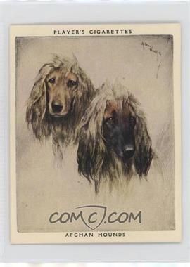 1929 Player's Dogs' Heads by Arthur Wardle Series of 25 - Large #1 - Afghan Hounds