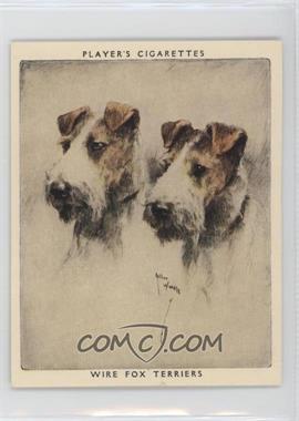 1929 Player's Dogs' Heads by Arthur Wardle Series of 25 - Large #24 - Wire Fox Terriers
