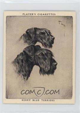 1929 Player's Dogs' Heads by Arthur Wardle Series of 25 - Large #25 - Kerry Blue Terriers