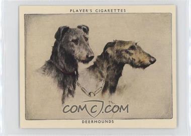 1929 Player's Dogs' Heads by Arthur Wardle Series of 25 - Large #6 - Deerhounds