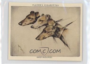 1929 Player's Dogs' Heads by Arthur Wardle Series of 25 - Large #8 - Greyhounds