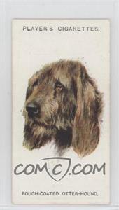 1929 Player's Dogs' Heads by Arthur Wardle Series of 50 - Small #19 - Rough-Coated Otter-Hound