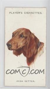 1929 Player's Dogs' Heads by Arthur Wardle Series of 50 - Small #30 - Irish Setter