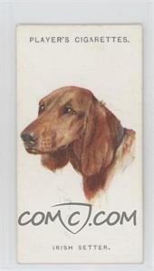1929 Player's Dogs' Heads by Arthur Wardle Series of 50 - Small #30 - Irish Setter