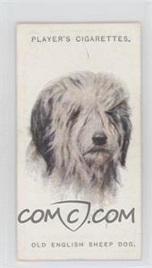 1929 Player's Dogs' Heads by Arthur Wardle Series of 50 - Small #31 - Old English Sheep Dog