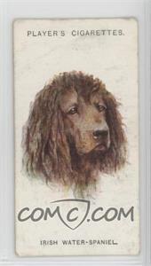 1929 Player's Dogs' Heads by Arthur Wardle Series of 50 - Small #35 - Irish Water Spaniel [Good to VG‑EX]