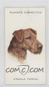 1929 Player's Dogs' Heads by Arthur Wardle Series of 50 - Small #37 - Airedale Terrier