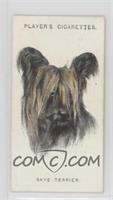 Skye Terrier