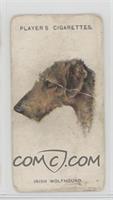 Irish Wolfhound [COMC RCR Poor]