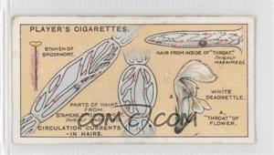 1929 Player's Hidden Beauties - Tobacco [Base] #6 - Circulation Currents-in Hairs. [Good to VG‑EX]