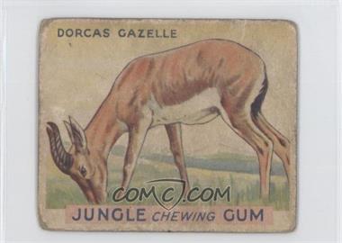 1930 World Wide Gum Jungle Gum - R78 #14 - Dorcas Gazelle [Good to VG‑EX]