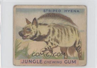 1930 World Wide Gum Jungle Gum - R78 #21 - Striped Hyena [Poor to Fair]