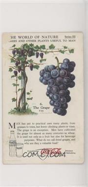1930s Coca-Cola The World of Nature - Series III: Trees And Other Plants Useful To Man #6 - The Grape [Poor to Fair]