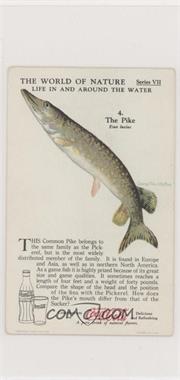 1930s Coca-Cola The World of Nature - Series VII: Life In And Around Water #4 - The Pike [Good to VG‑EX]